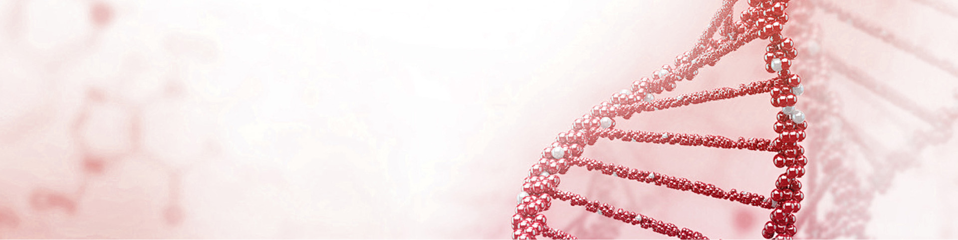 Source Library Banner